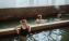 Bathhouse2