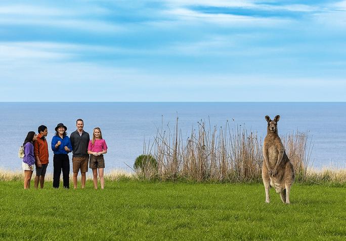 Wildlife Wonders kangaroo in Sanctuary