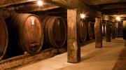 Bests Wines underground Cellars by Marcus Thomson 2008