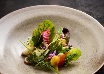 Brae Farm vegetable garden Photographer Colin Page