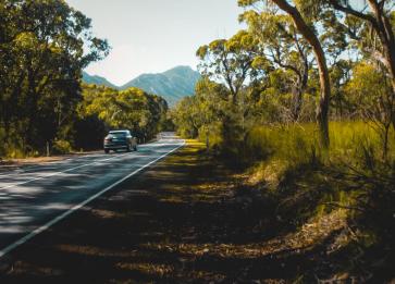 Grampians Drive