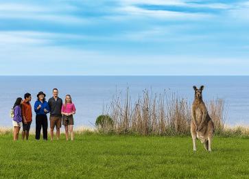 Wildlife Wonders kangaroo in Sanctuary