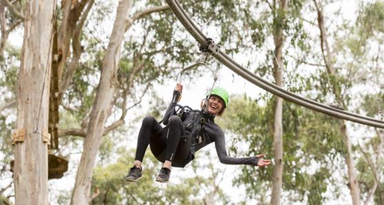 LIVE WIRE PARK 1 GREAT OCEAN ROAD 684x477