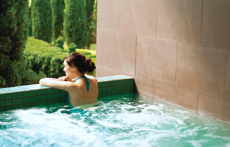 6 The Mineral Spa2