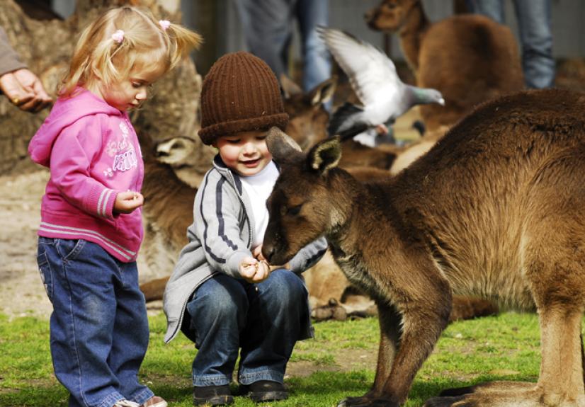 BALLARAT WILDLIFE PARK 5