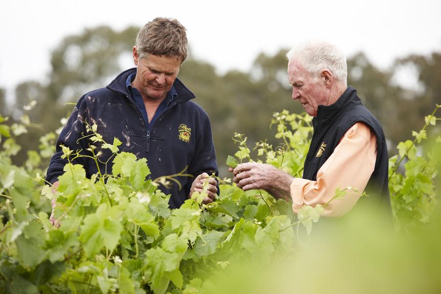 Bests Wines Ben and Viv Thomson in Vineyard by marcus Thomson 2018