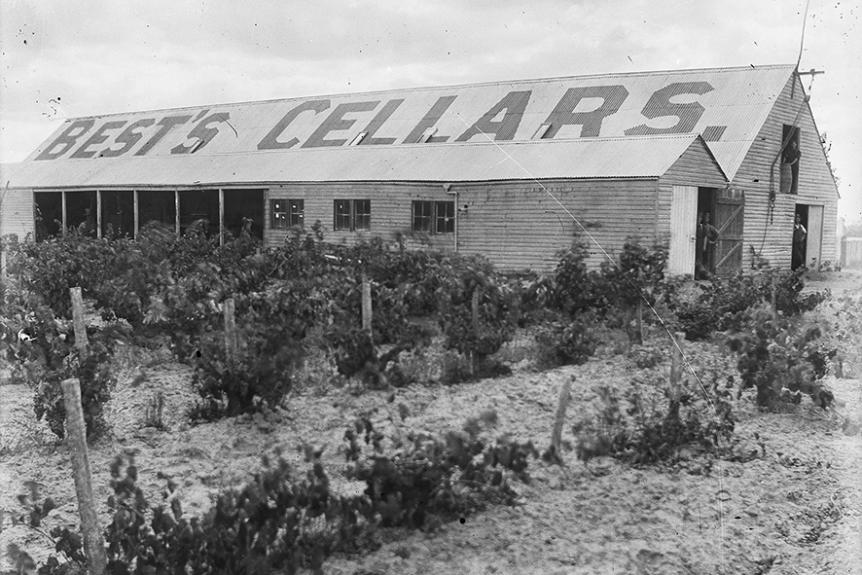 Bests Wines Glass Negatives Painted Cellar roof 1920