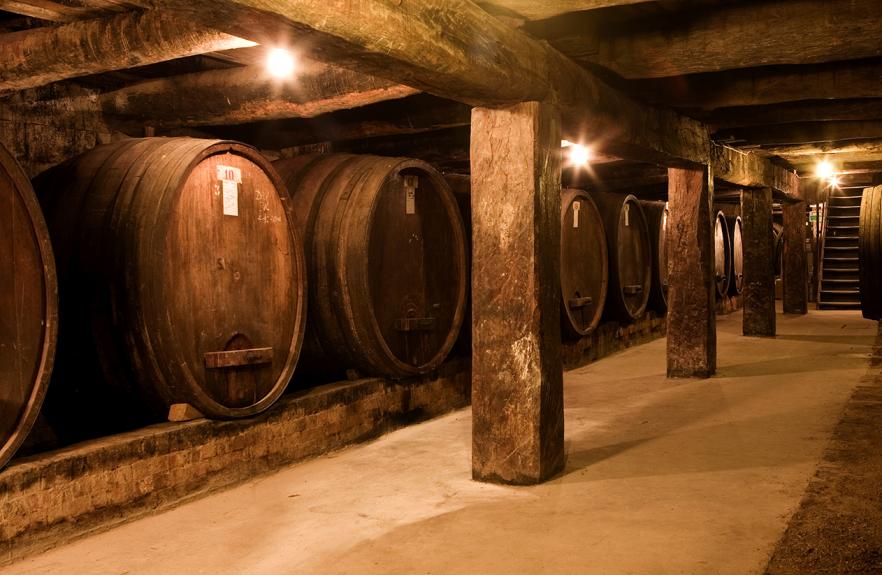 Bests Wines underground Cellars by Marcus Thomson 2008