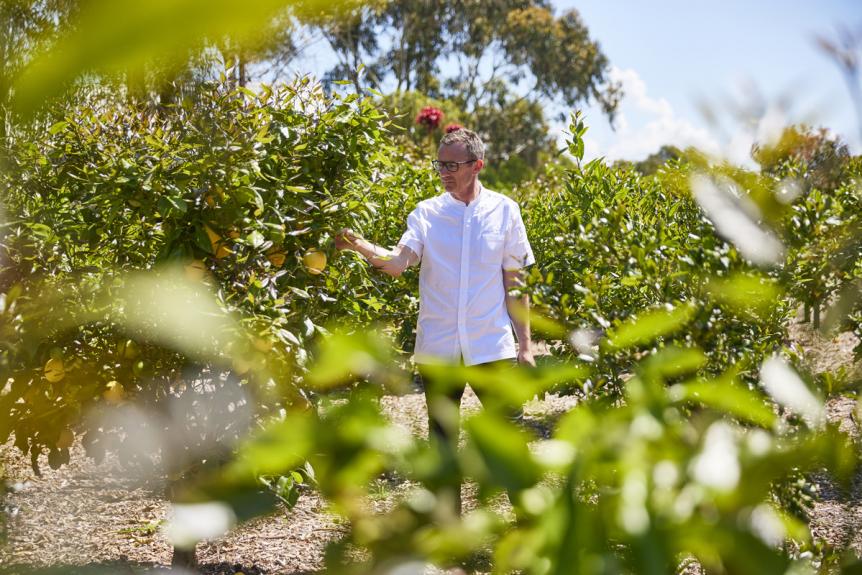 Brae Co Founder Chef Dan Hunter TA Brae 393