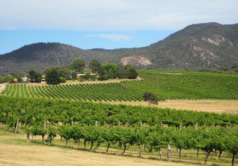 MOUNT LANGI GHIRAN 5 GRAMPIANS 684x476