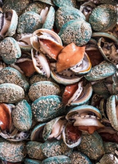low res abalone