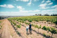 Geelong Wineries